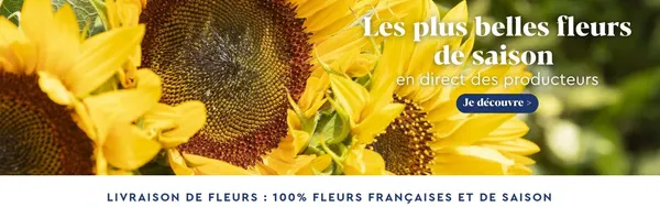 Page d'accueil du site Monsieur Marguerite